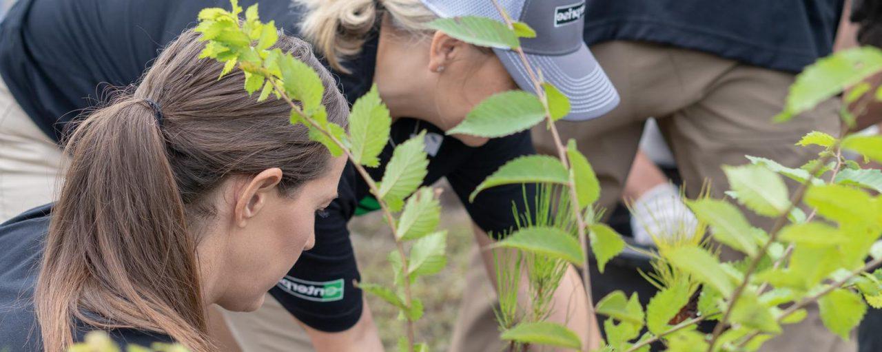 Two women in black Enterprise shirts planting trees.